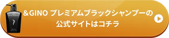 ＆GINO プレミアムブラックシャンプーの公式サイトはこちら