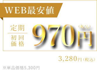 WEB最安値定期初回価格970円（税込）