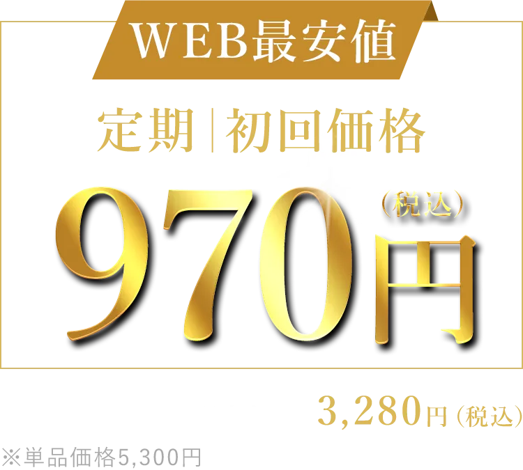 WEB最安値定期初回価格970円（税込）